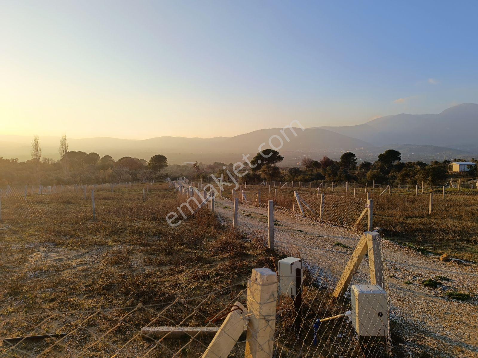 Torbalı Karaot Köyünde Yatırımlık 200 M² Arsa - Görsel 2