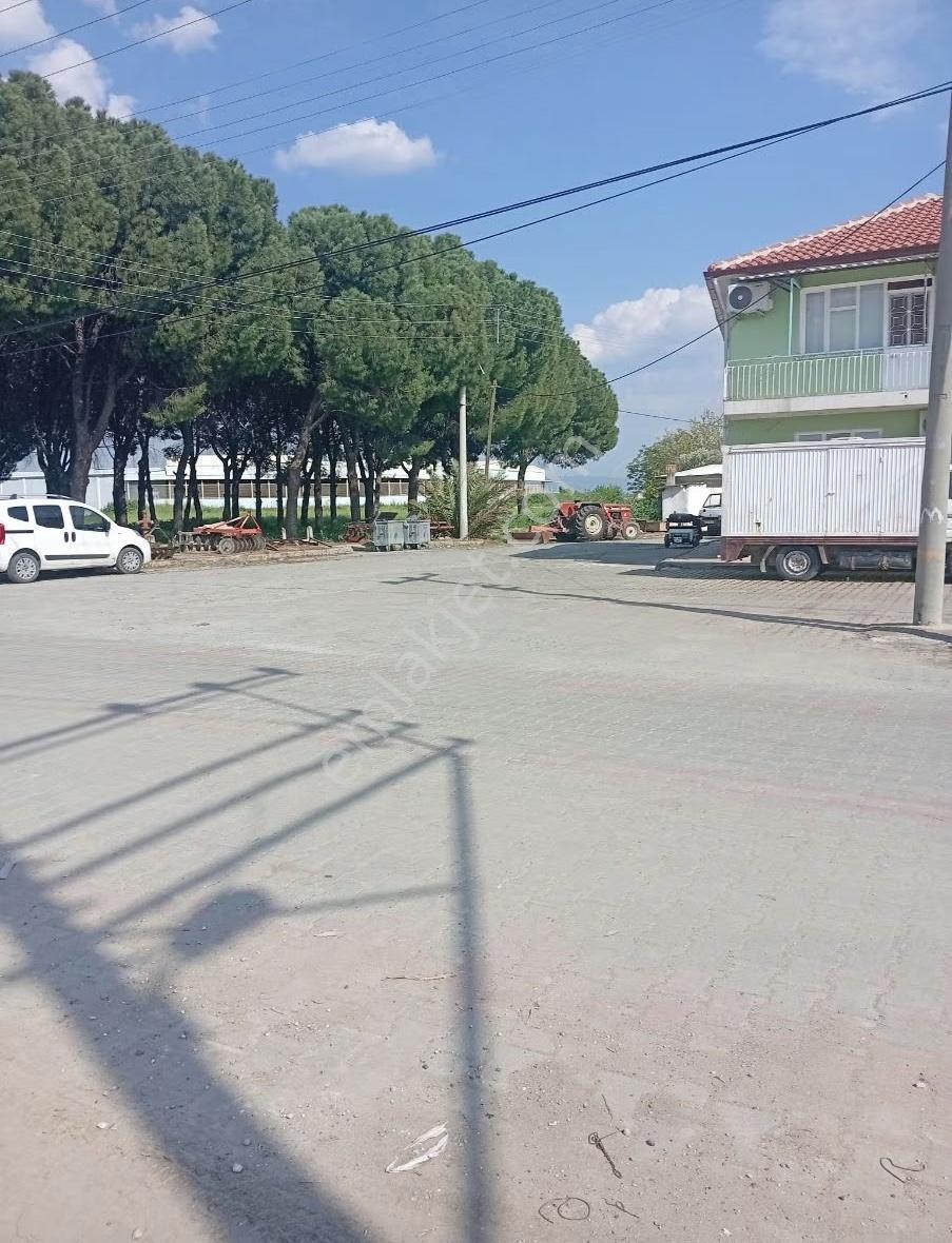Saruhanlı Hacırahmanlıda Satılık İmarlı Arsalar - Görsel 6