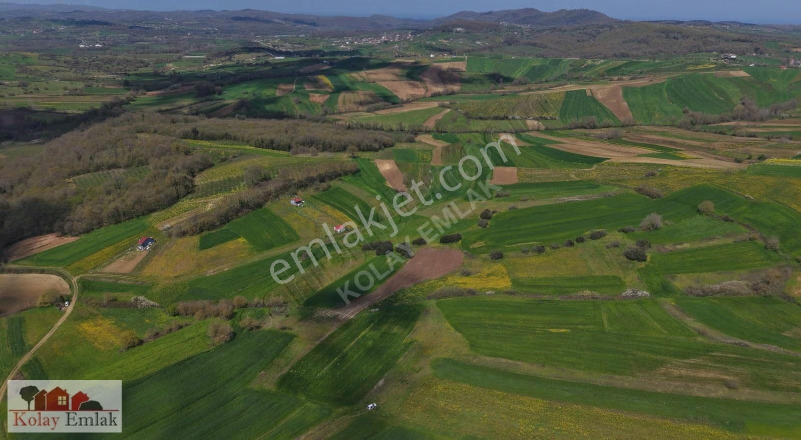 Kandıra Nefsiyadeş Köyünde %5 İmarlı 2.105m2 Satılık Tarla - Görsel 6