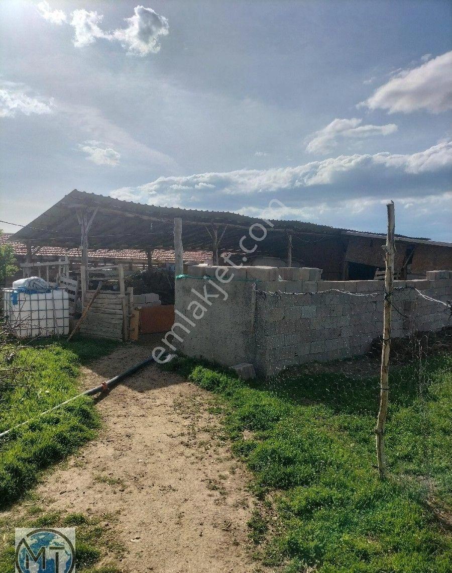 Burhaniye Mahallesinde Satılık Ahırları,3+1 Geniş 140 M2 Net Müstakil Evi Toplam 17,5 Evlek. - Görsel 26