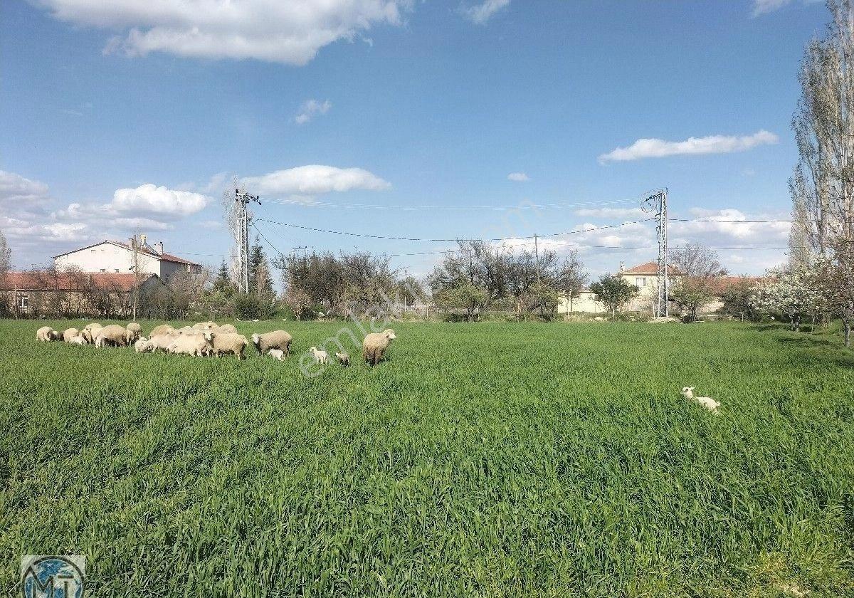 Burhaniye Mahallesinde Satılık Ahırları,3+1 Geniş 140 M2 Net Müstakil Evi Toplam 17,5 Evlek. - Görsel 3
