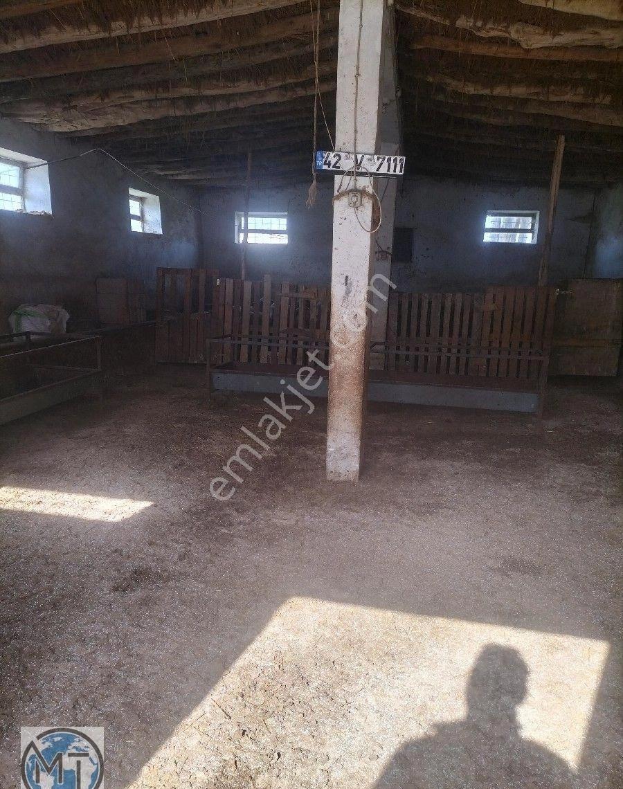 Burhaniye Mahallesinde Satılık Ahırları,3+1 Geniş 140 M2 Net Müstakil Evi Toplam 17,5 Evlek. - Görsel 27