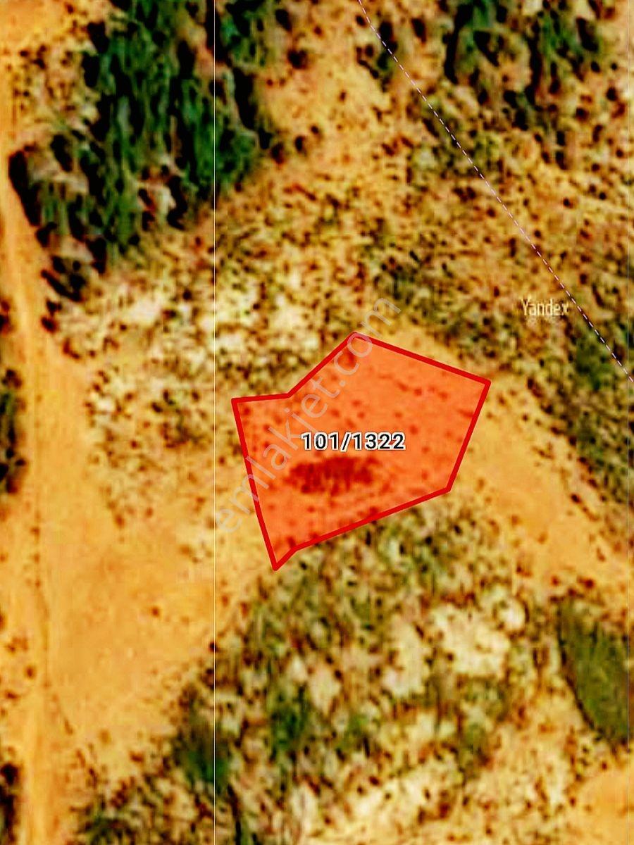Karahan Emlaktan Mersin*aydıncık*pembecik'te Denize 18 Km.tarla - Görsel 2