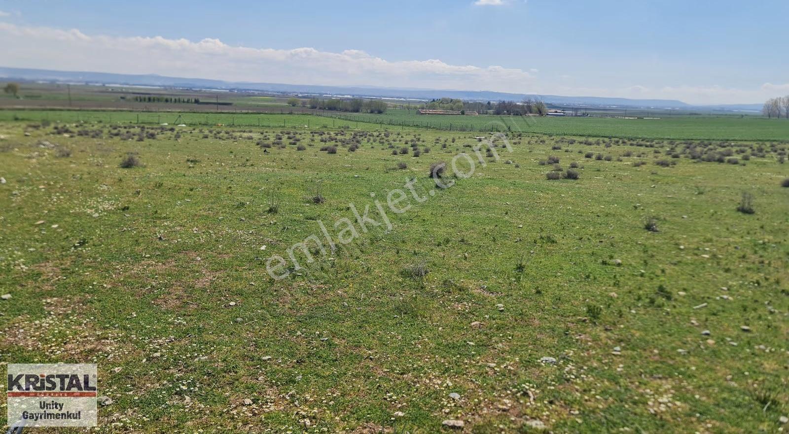 Eskişehir Muttalip Sanayi Bölgesi Satılık 16.000 M2 Tarla - Görsel 4