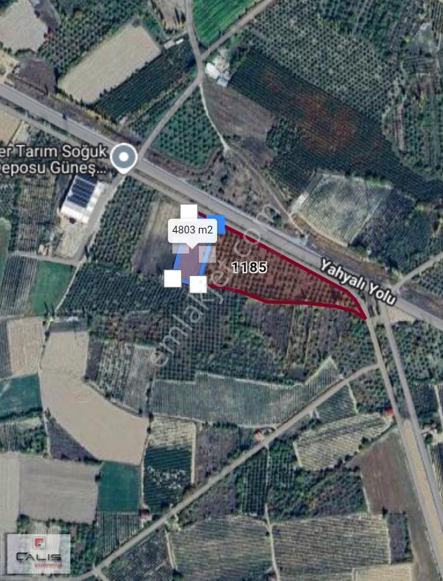 Yahyalı İlyaslı Da Ana Cadde Ye Sıfır Arazi - Görsel 2