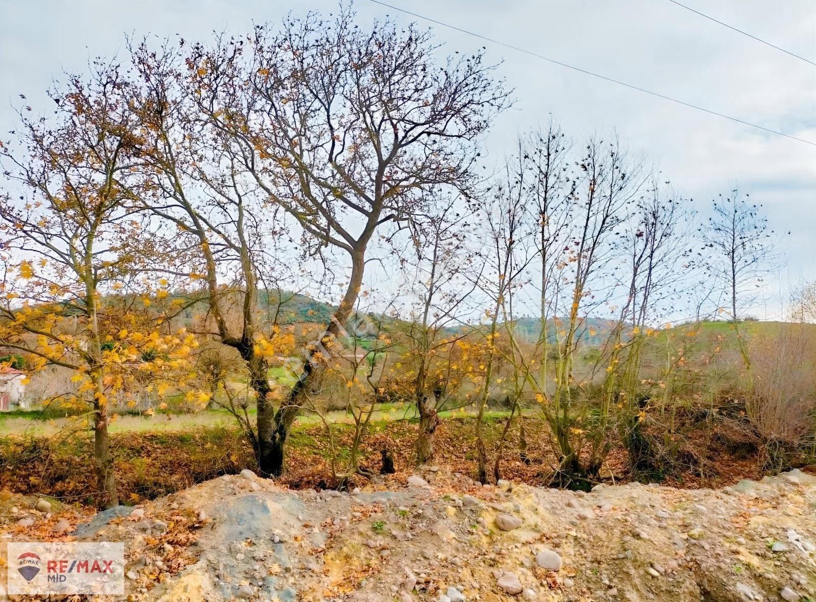Re/max Mid Balıkesir Balya Müstecap Satılık Müstakil Bahçe - Görsel 7