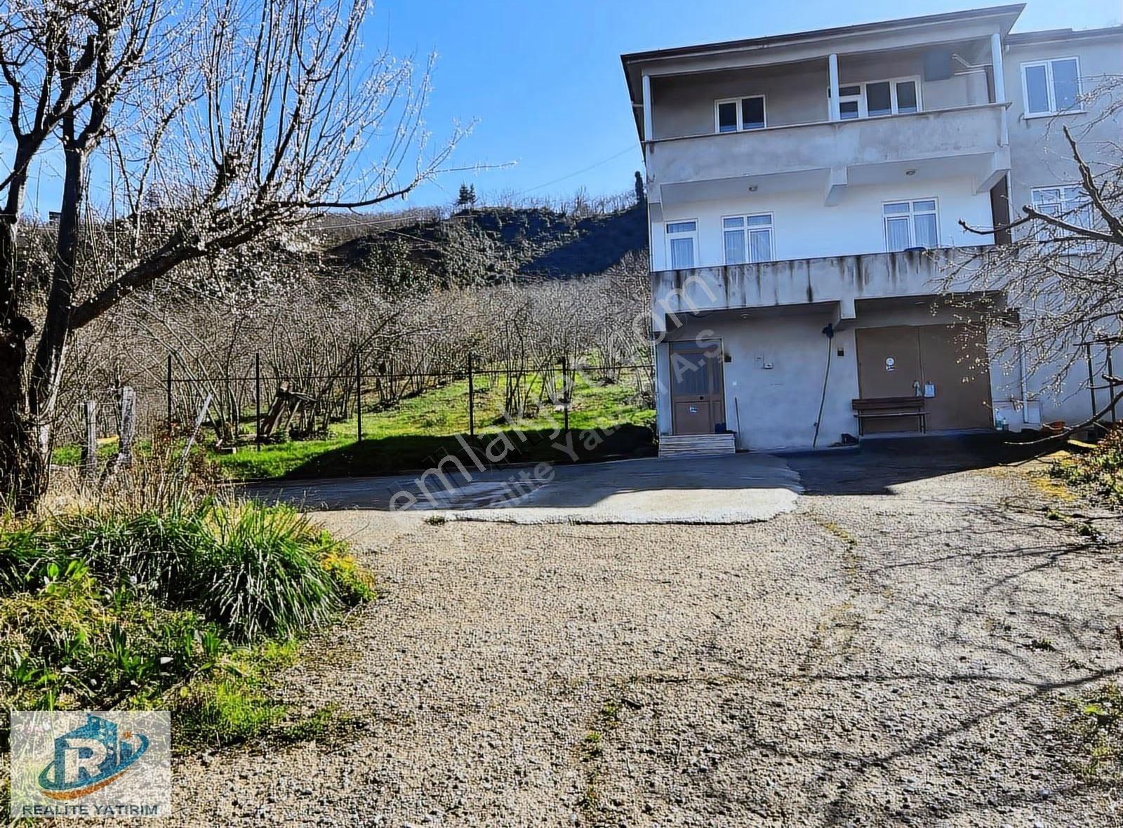 Giresun Merkez Alınca Köyün'de Satılık 16 Dönüm Fındık Bahçesi - Görsel 11