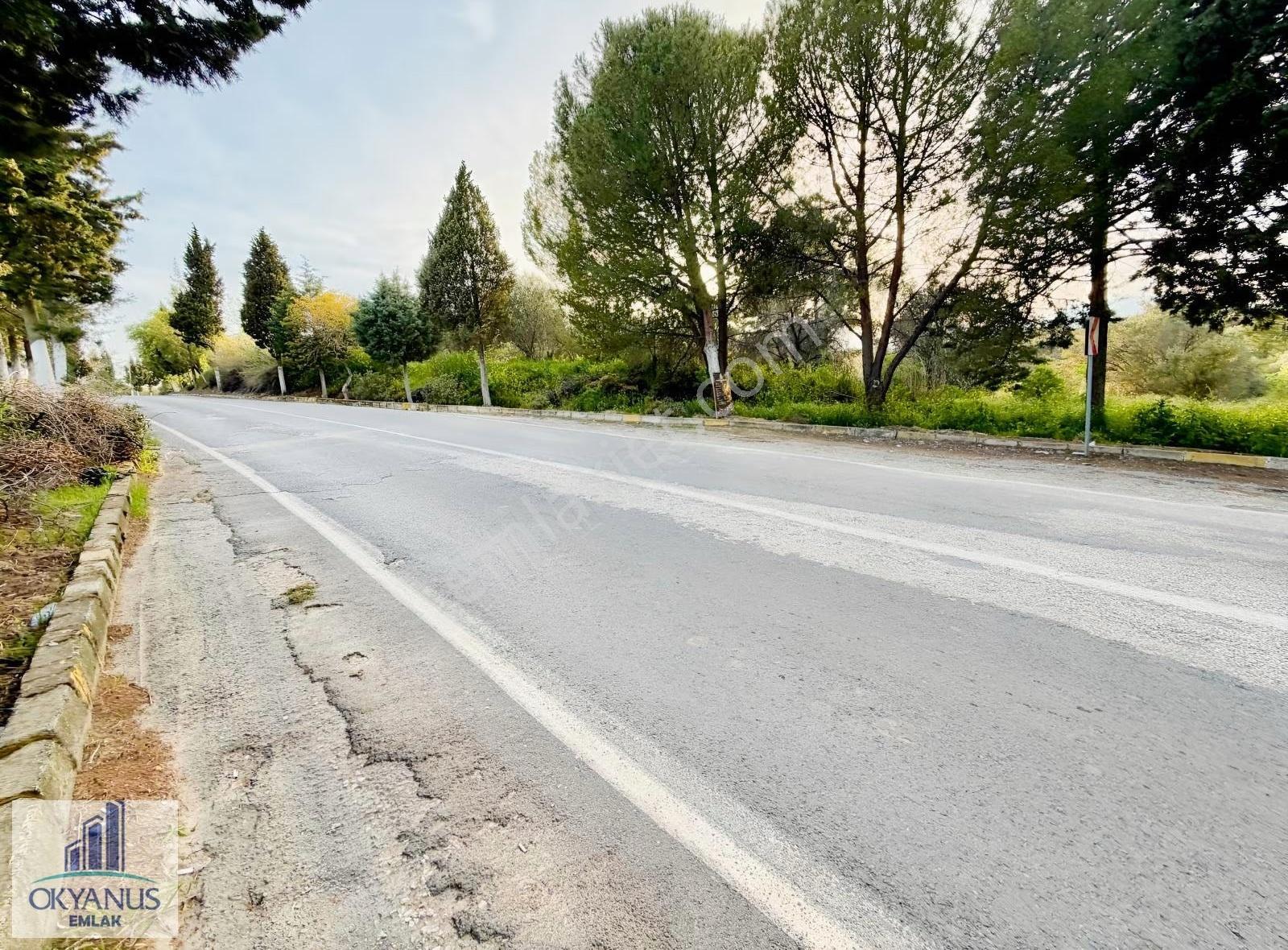 11.000 M2 Zeytinlik, Turgutlu Asfaltında, K.yoluna 50 Mt Cepheli - Görsel 4