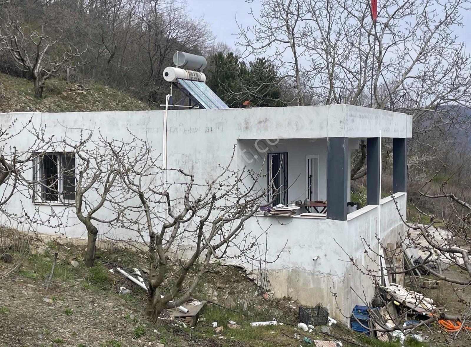 İzmir Bayındır Kızılobada Çeşitli Meyve Bahçesi - Görsel 22
