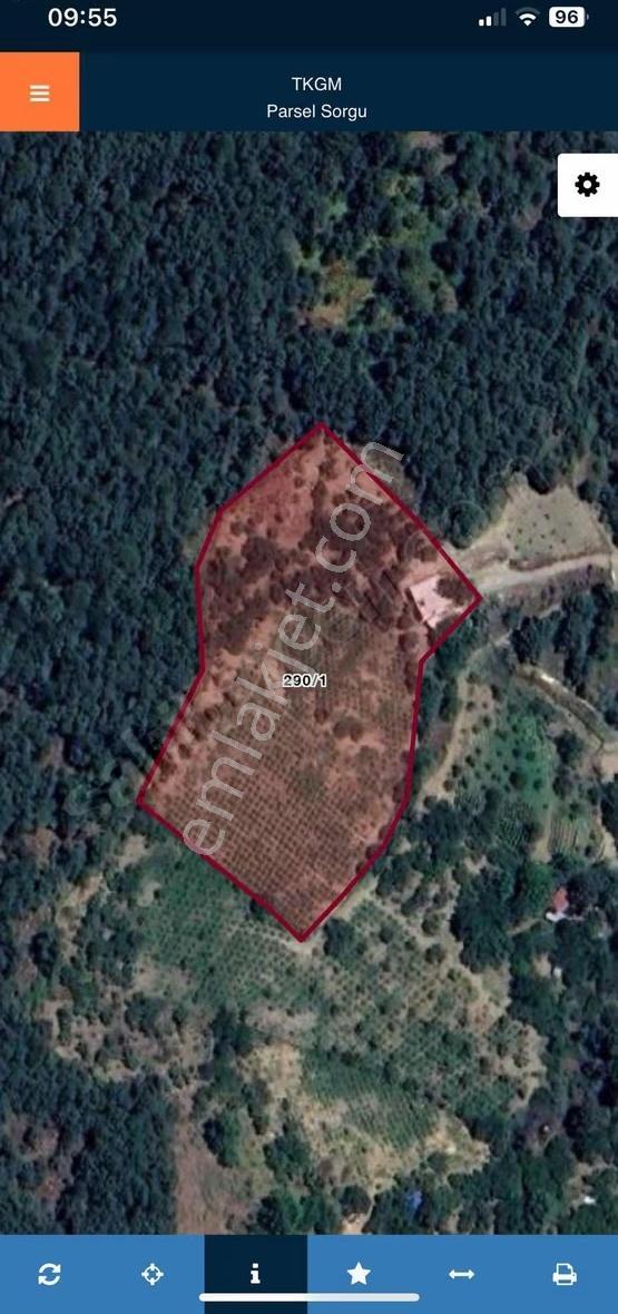 İzmir Bayındır Kızılobada Çeşitli Meyve Bahçesi - Görsel 10