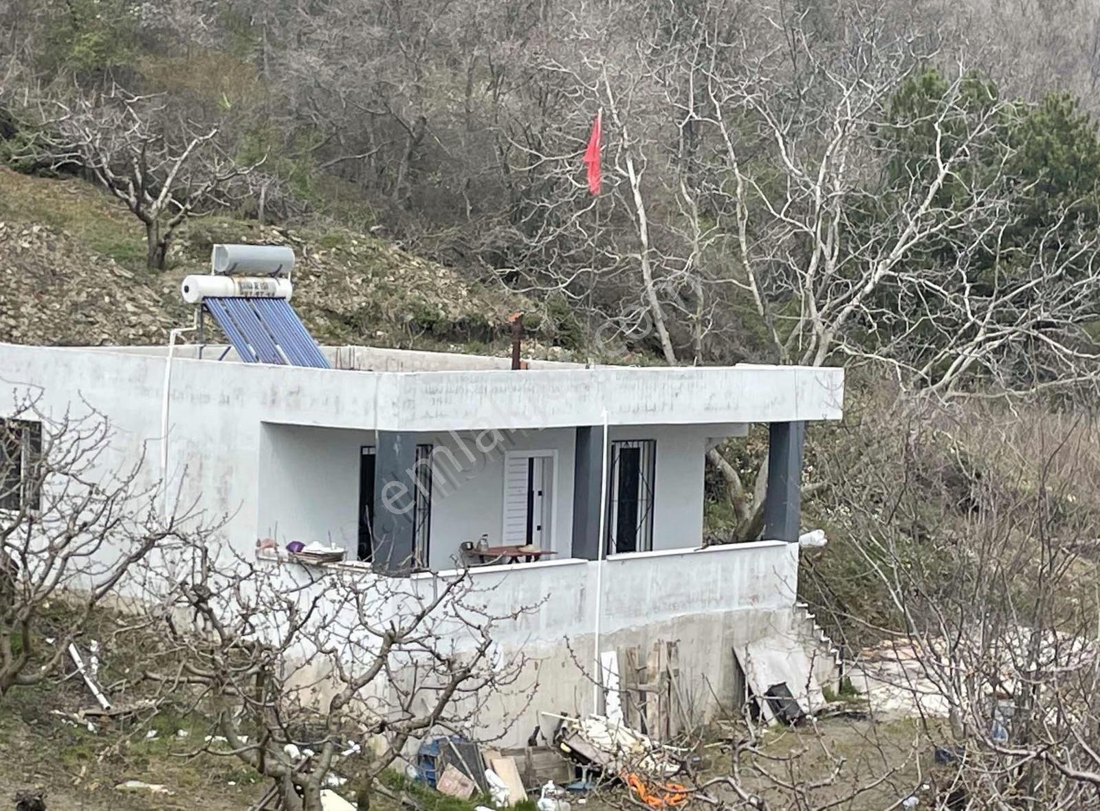İzmir Bayındır Kızılobada Çeşitli Meyve Bahçesi - Görsel 21