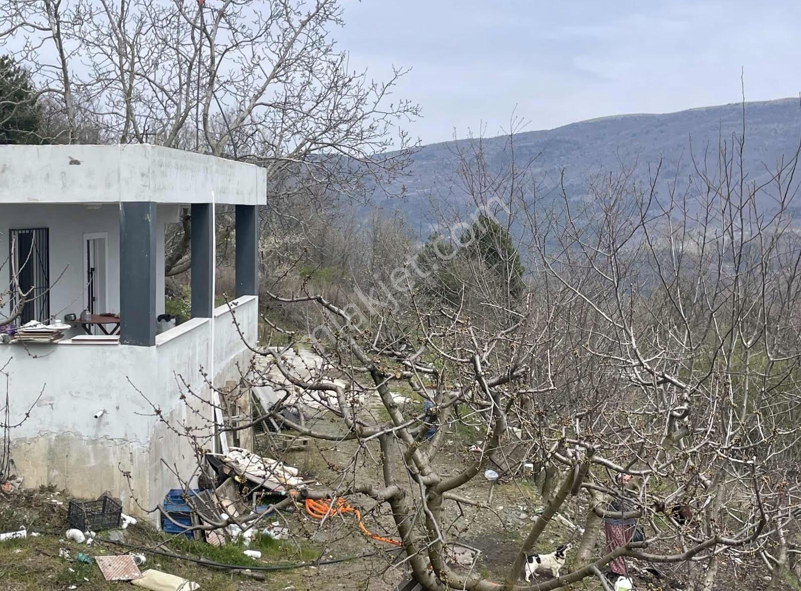 İzmir Bayındır Kızılobada Çeşitli Meyve Bahçesi - Görsel 15