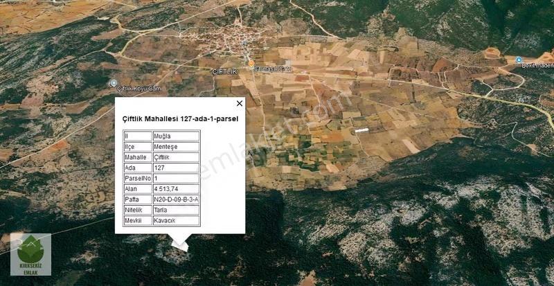 Muğla Menteşe Çiftlik Mahallesinde 7001 M² Satılık Tarla...