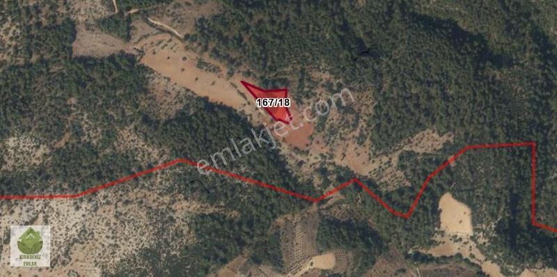 Muğla Menteşe Çiftlik Mahallesinde 4900 M² Satılık Tarla... - Görsel 3
