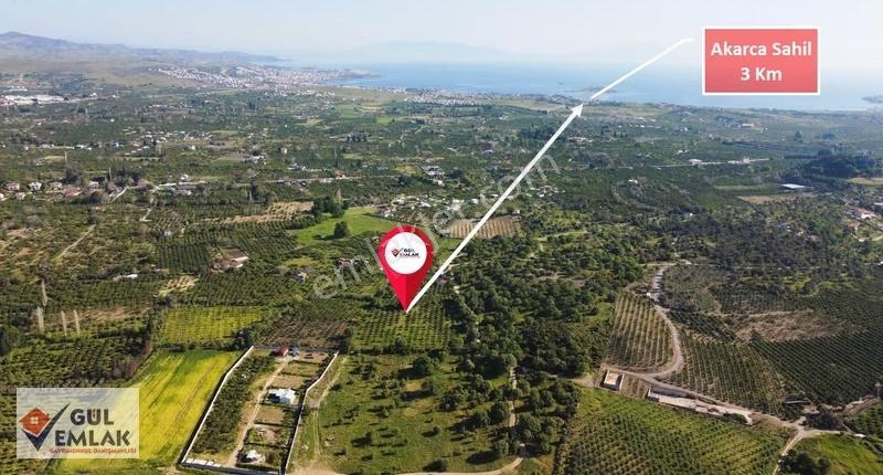 Seferihisar'ın Kıymetli Lokasyonunda 7.580 M2 Mandalina Bahçesi - Görsel 2