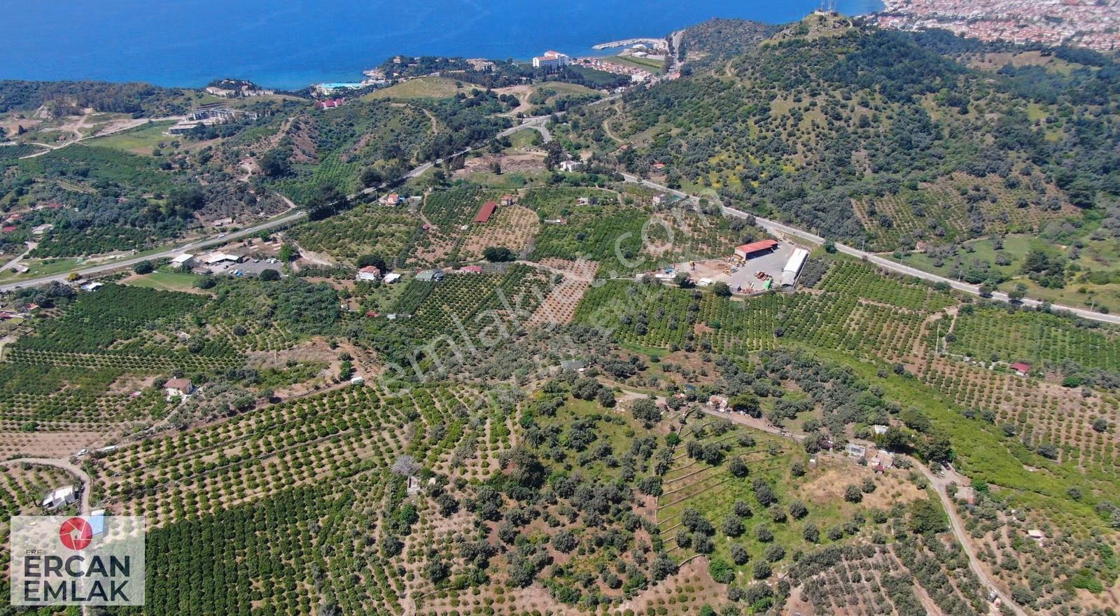 Özdere'de Satılık 1900 M² Tek Tapu Bahçe - Görsel 7