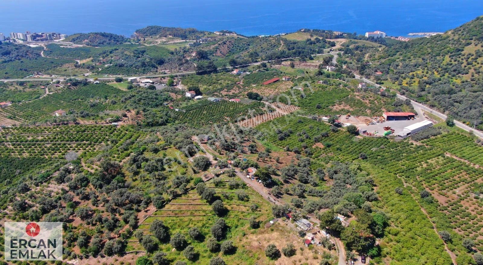 Özdere'de Satılık 1900 M² Tek Tapu Bahçe