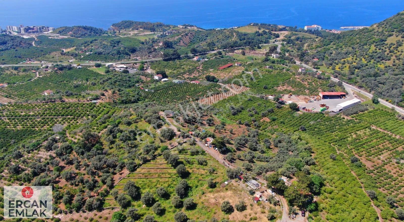 Özdere'de Satılık 1900 M² Tek Tapu Bahçe - Görsel 2