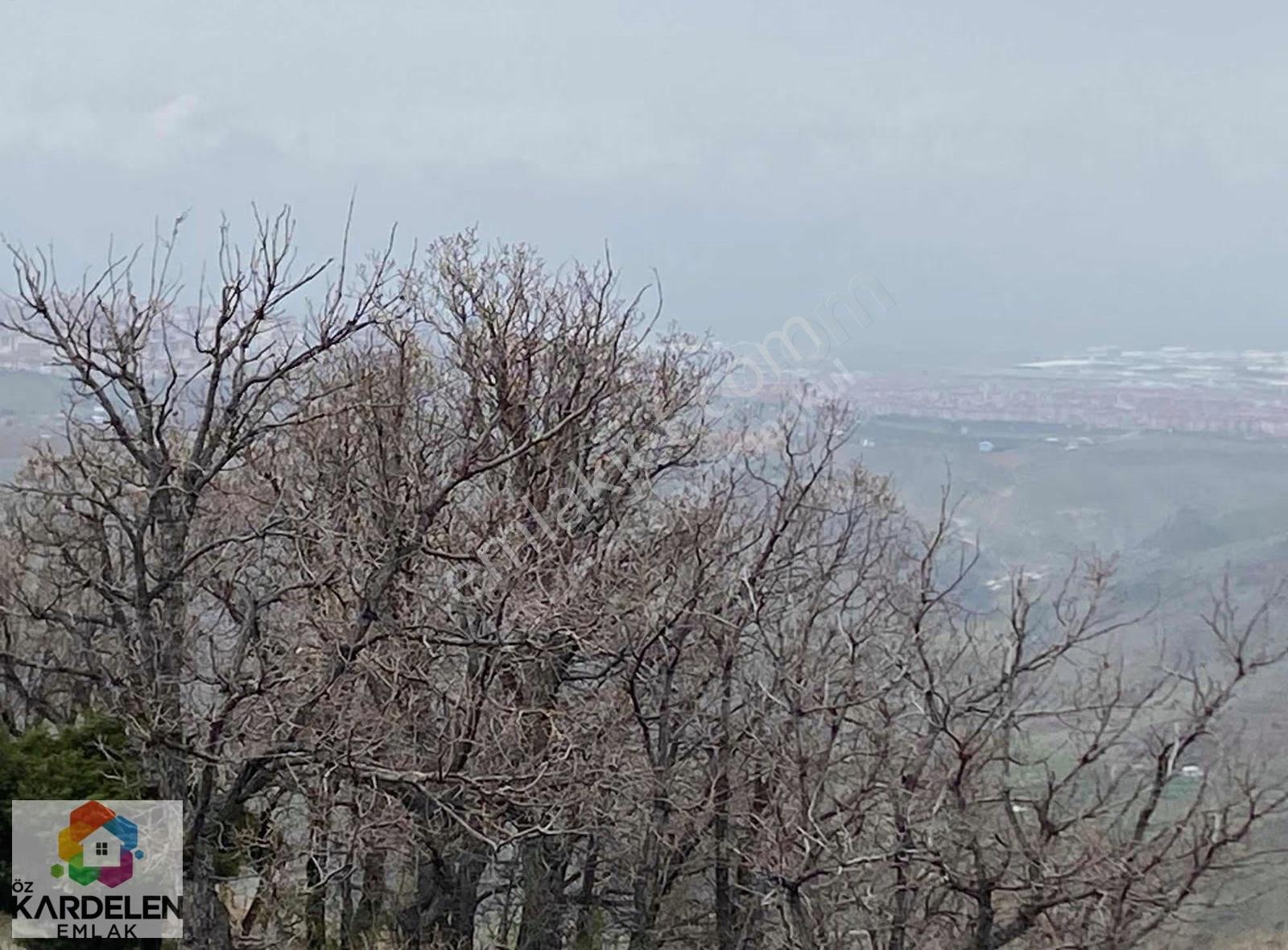 Kardelenden Satılık Fırsat Yatırımı - Görsel 18