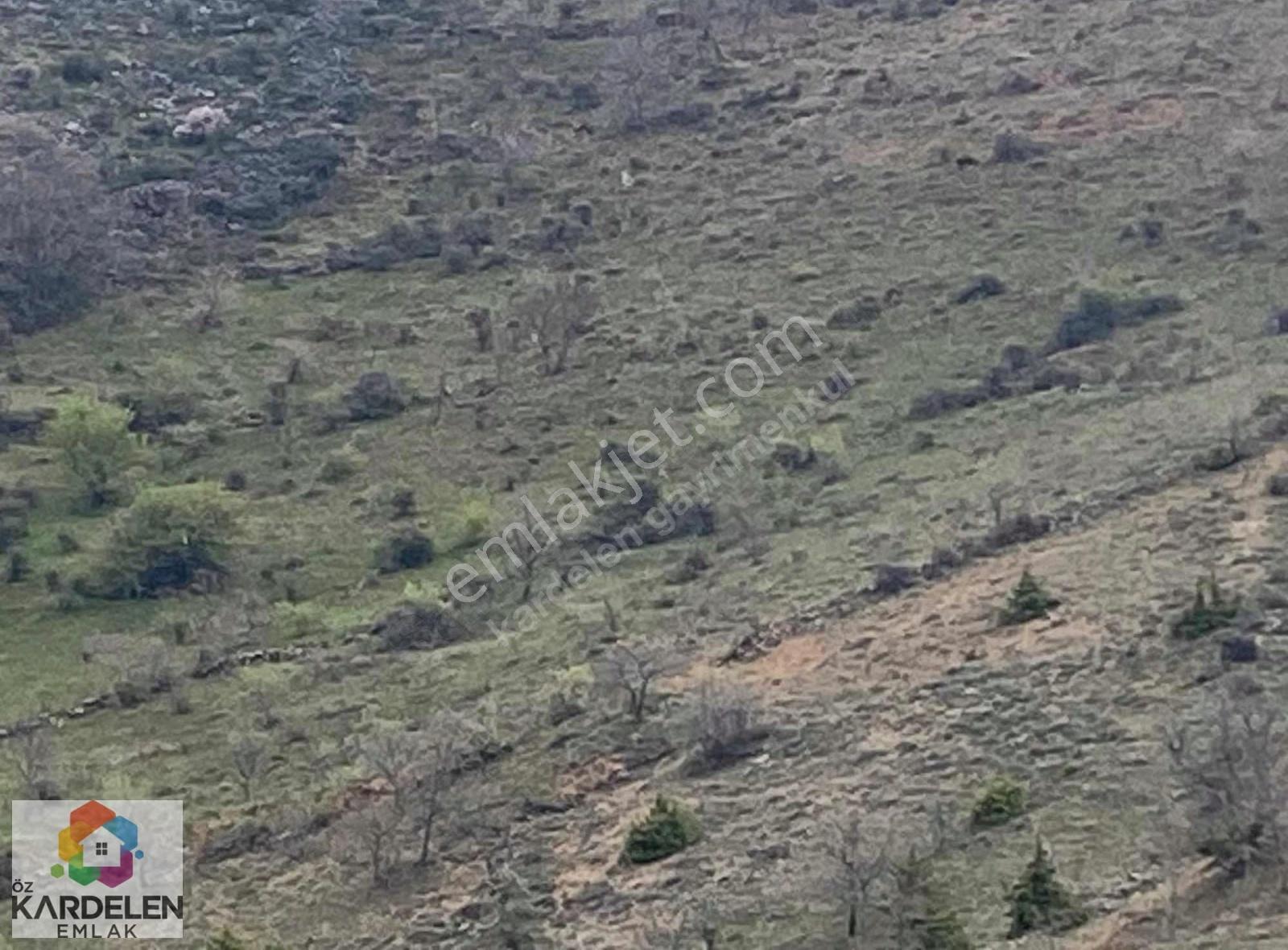 Kardelenden Satılık Fırsat Yatırımı - Görsel 14