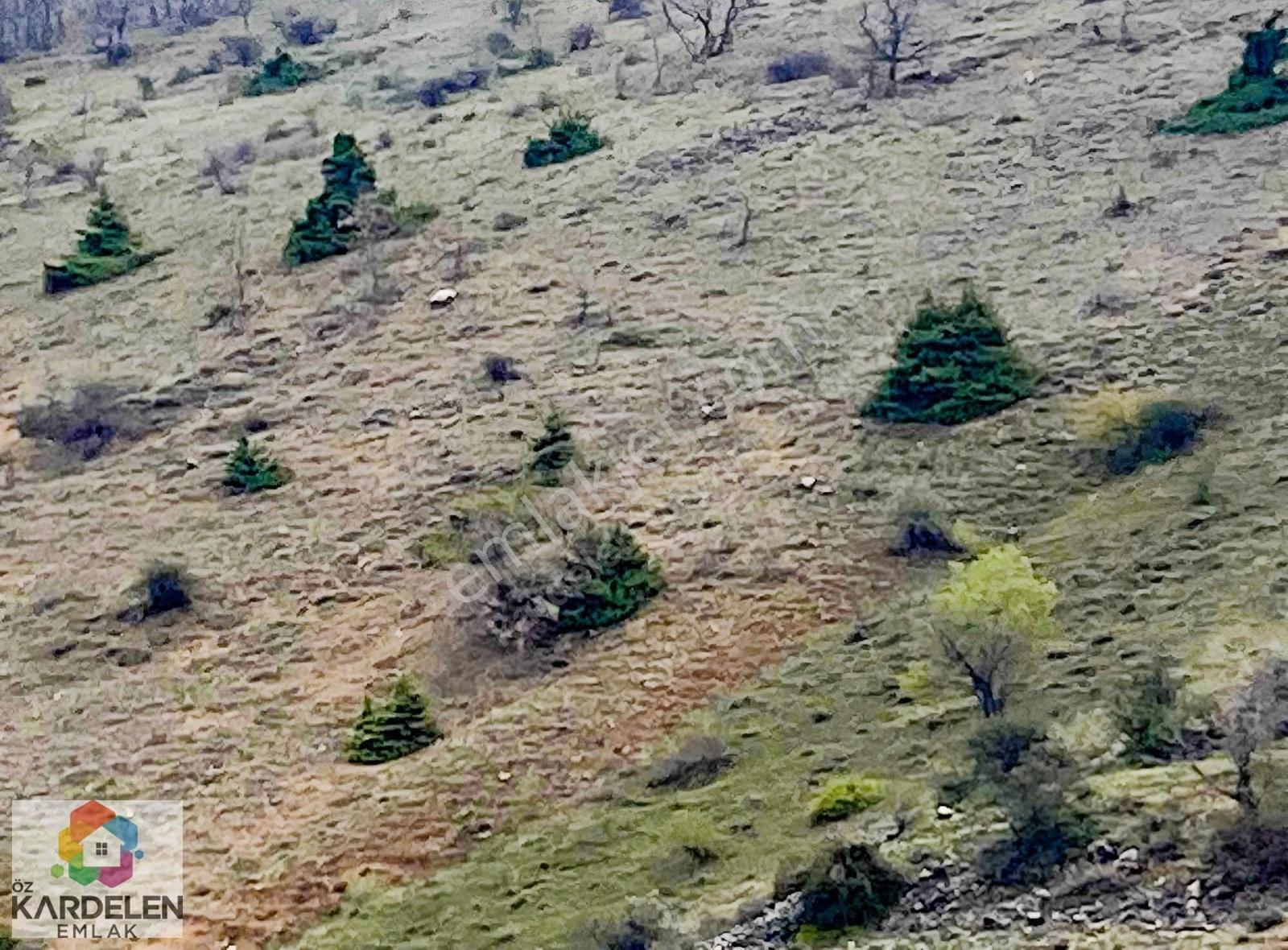 Kardelenden Satılık Fırsat Yatırımı - Görsel 11