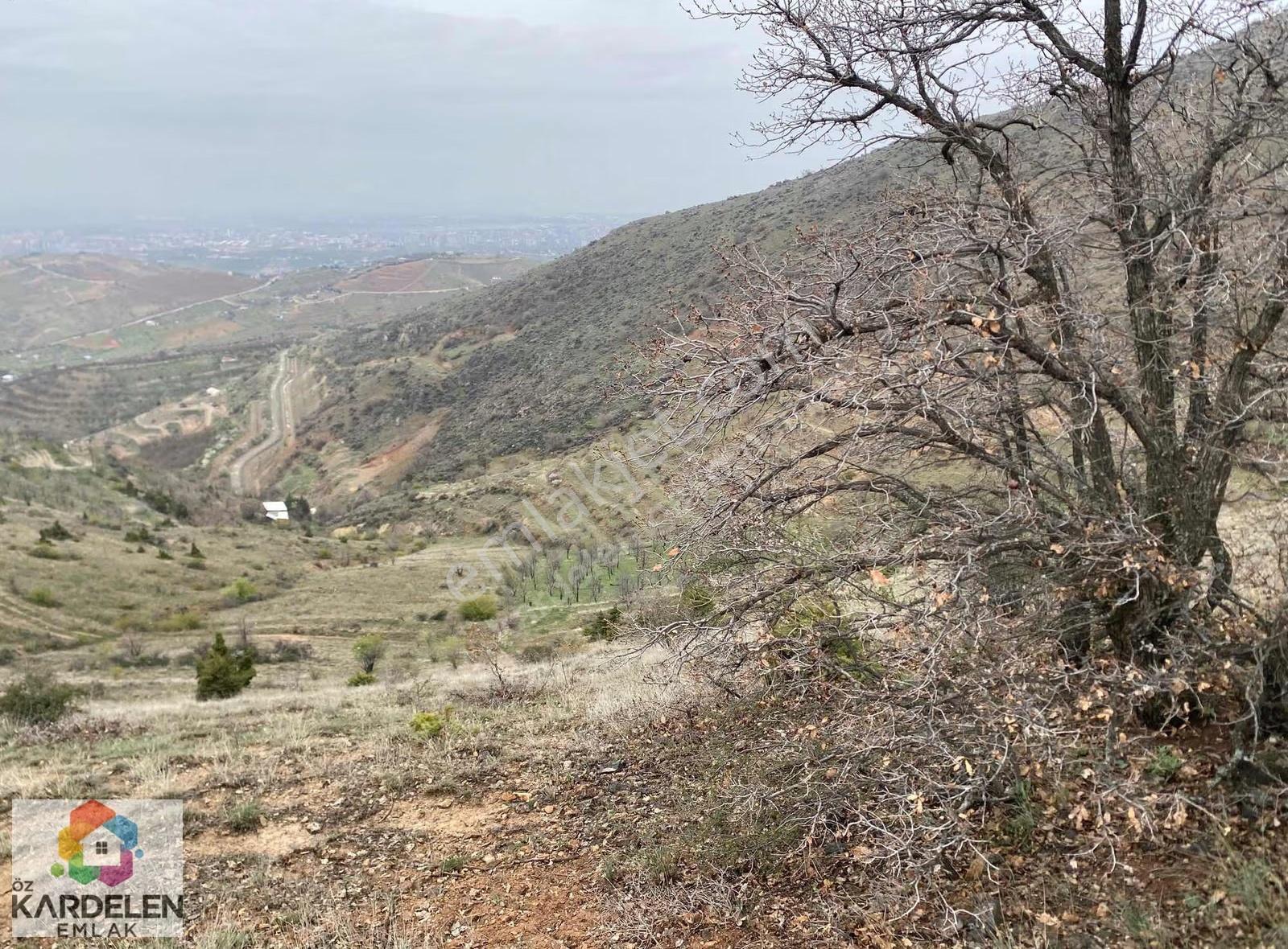 Kardelenden Satılık Fırsat Yatırımı - Görsel 35