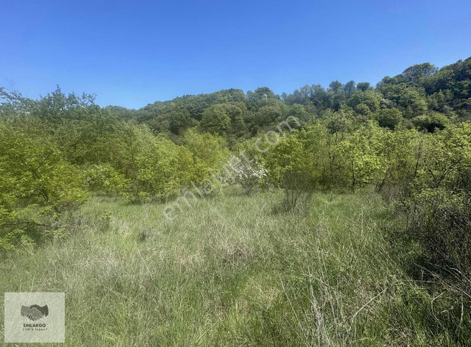 Bölgede Nadir Bulunan Ormanla Çevrili 8650m² Doğal Yaşam Arazisi - Görsel 4
