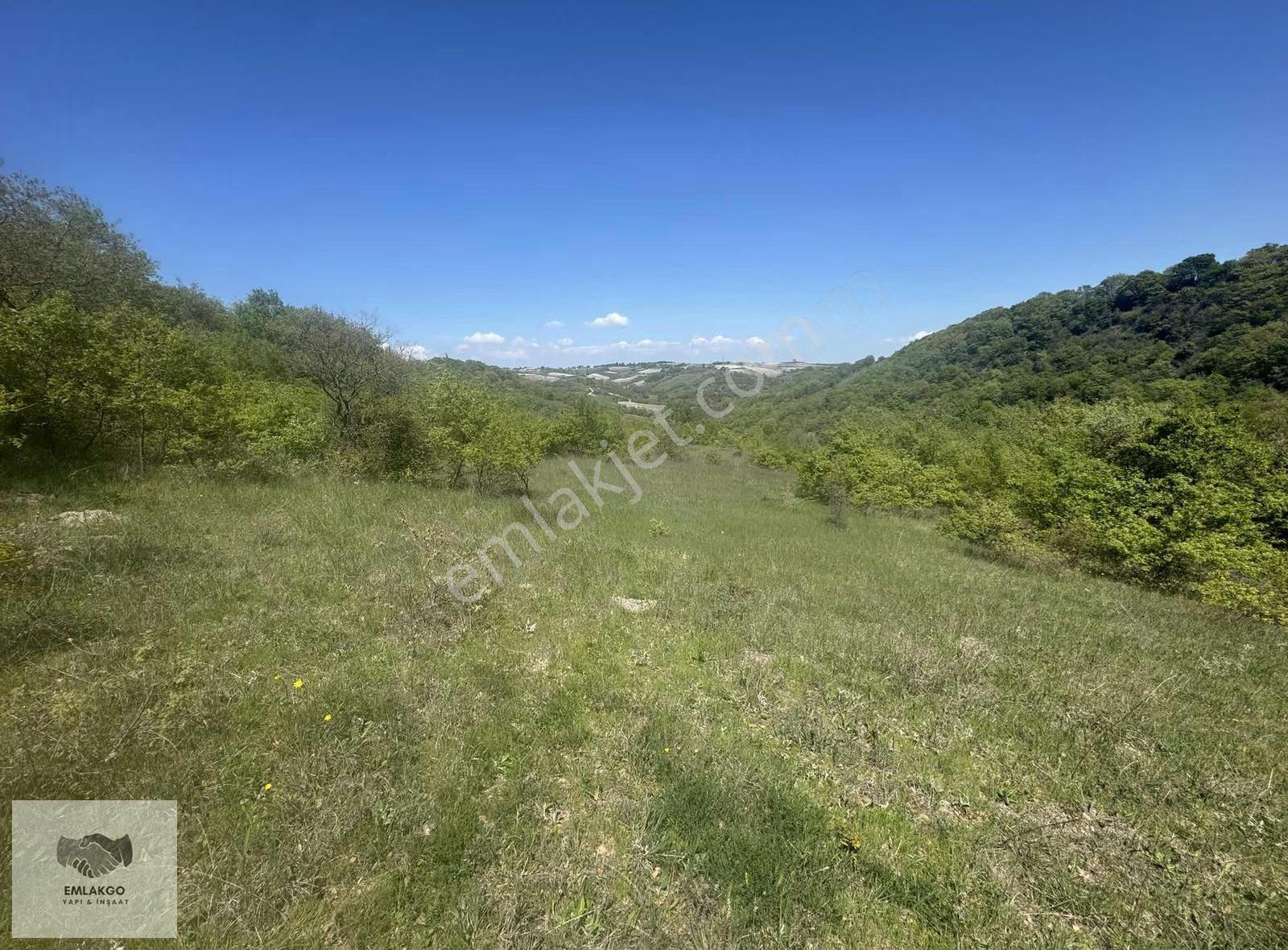 Bölgede Nadir Bulunan Ormanla Çevrili 8650m² Doğal Yaşam Arazisi - Görsel 16