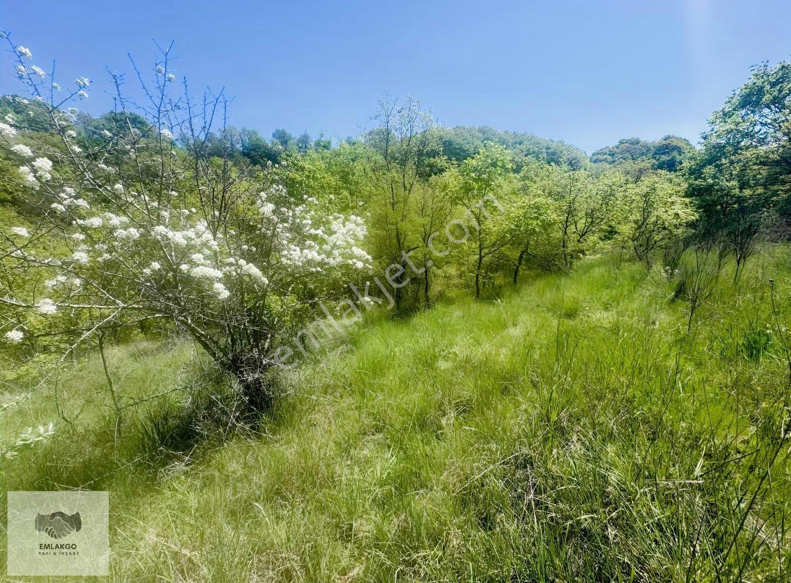 Bölgede Nadir Bulunan Ormanla Çevrili 8650m² Doğal Yaşam Arazisi - Görsel 7