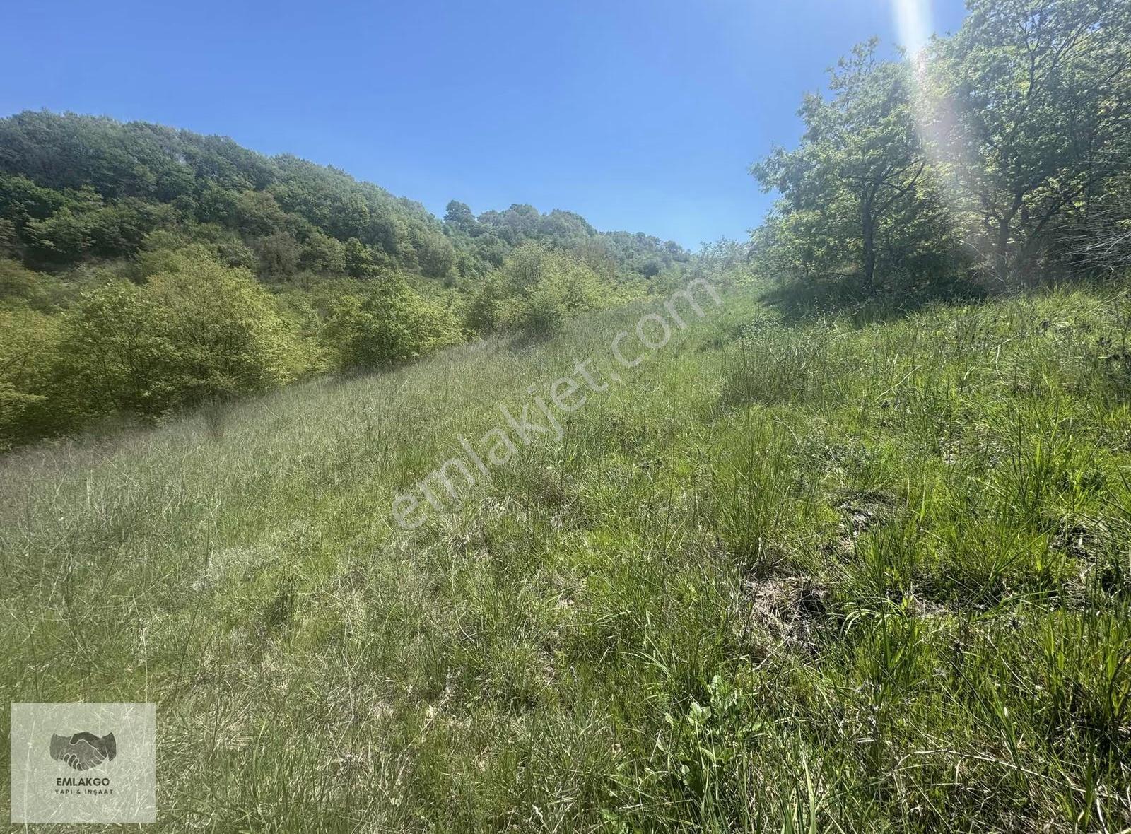 Bölgede Nadir Bulunan Ormanla Çevrili 8650m² Doğal Yaşam Arazisi - Görsel 22
