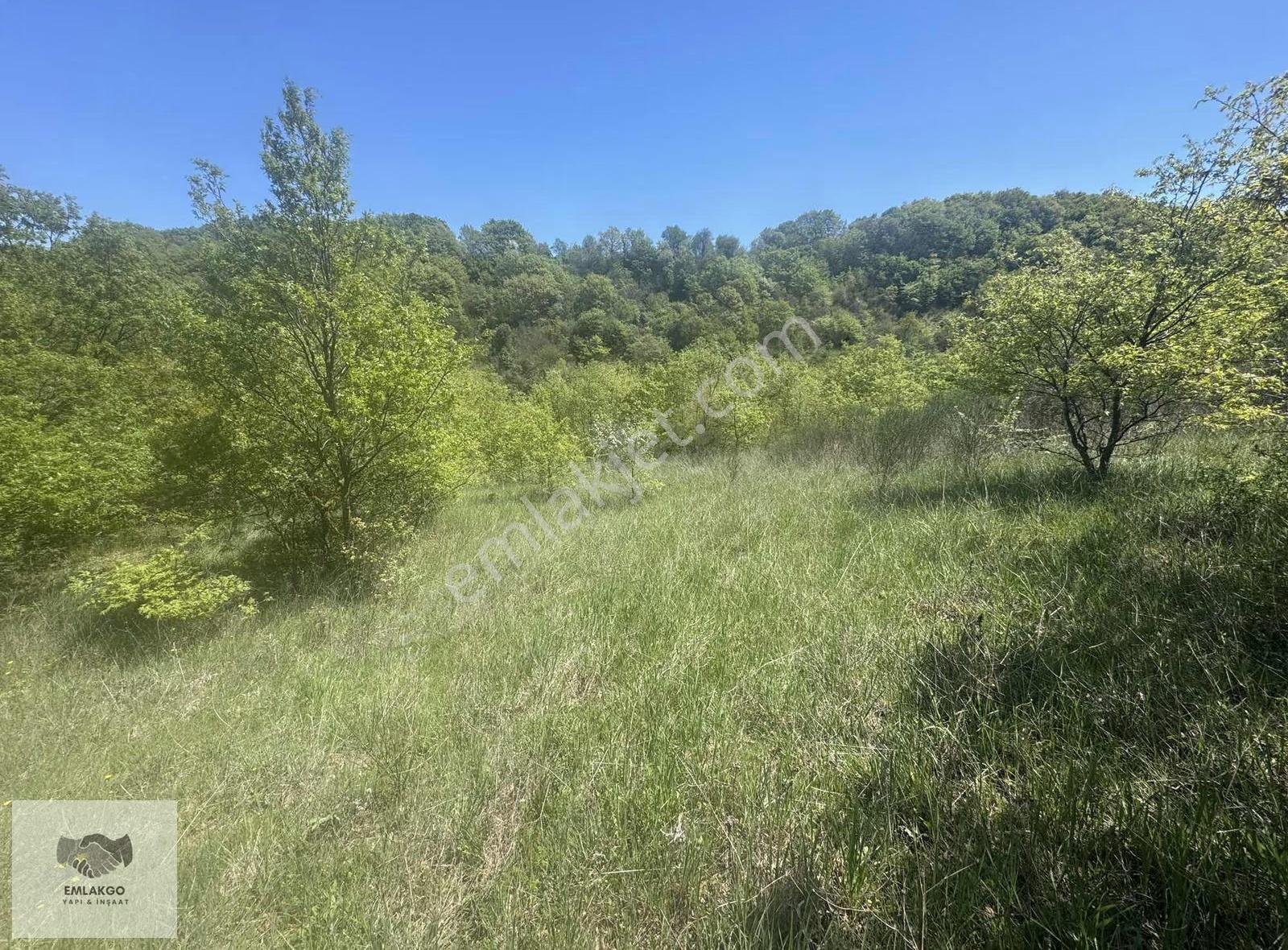 Bölgede Nadir Bulunan Ormanla Çevrili 8650m² Doğal Yaşam Arazisi - Görsel 21