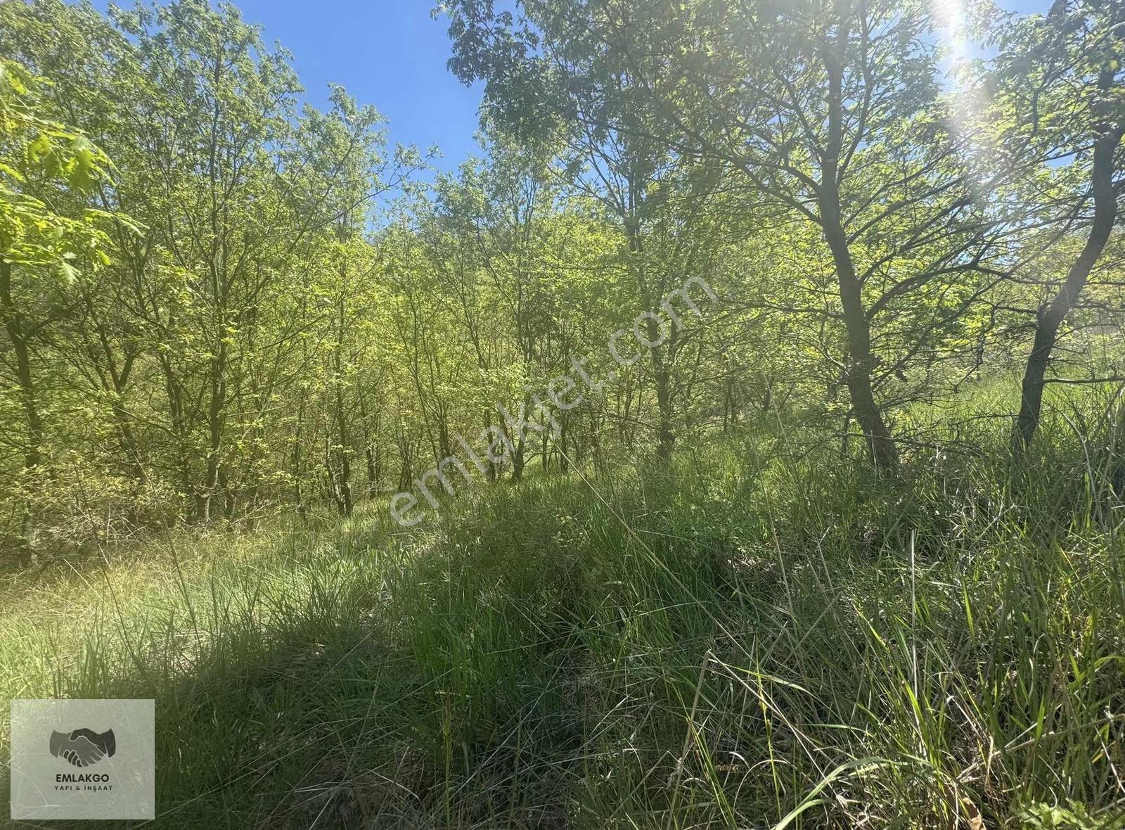 Bölgede Nadir Bulunan Ormanla Çevrili 8650m² Doğal Yaşam Arazisi - Görsel 14