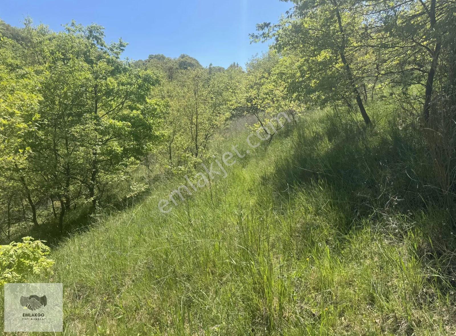 Bölgede Nadir Bulunan Ormanla Çevrili 8650m² Doğal Yaşam Arazisi - Görsel 24