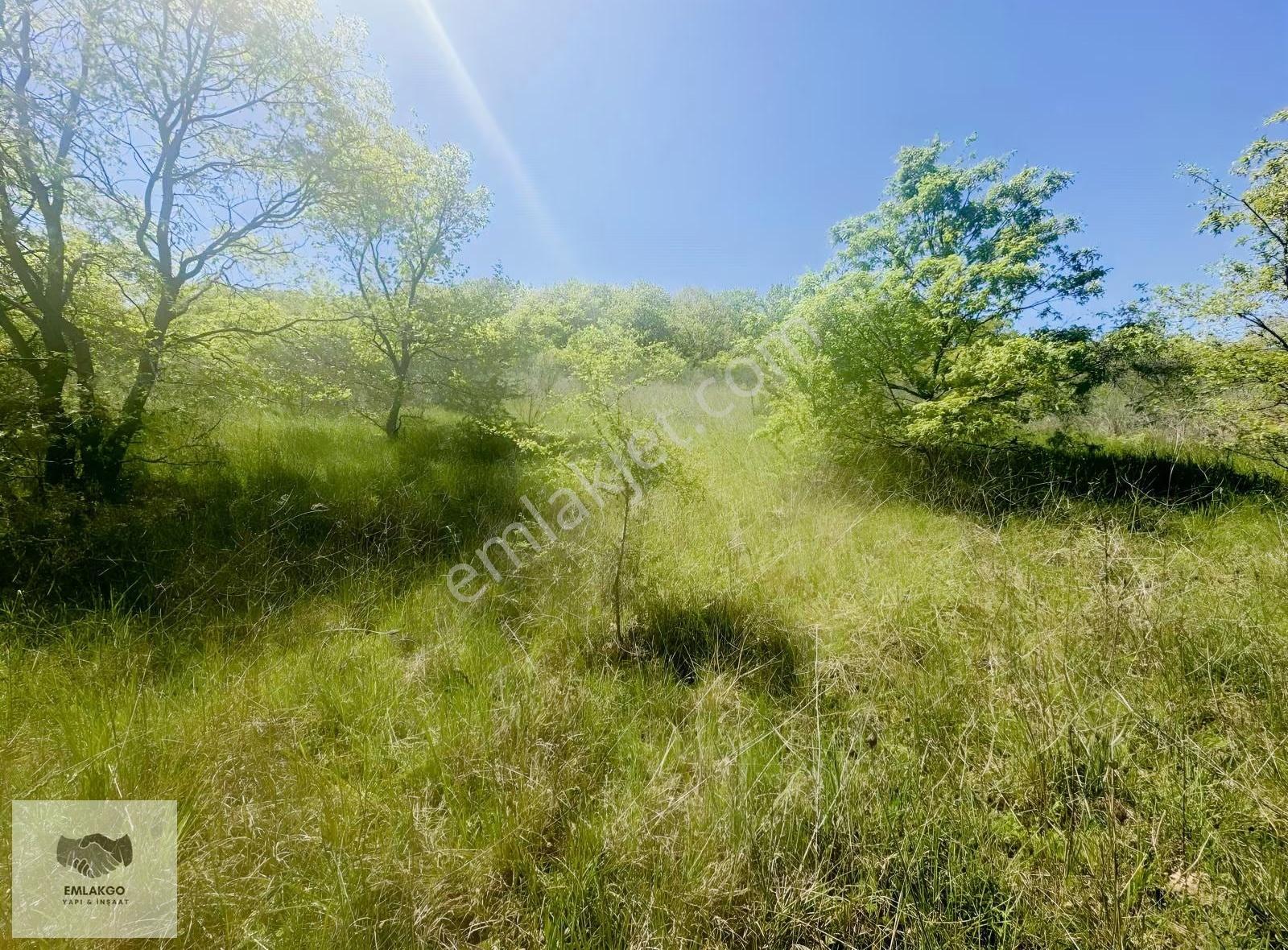 Bölgede Nadir Bulunan Ormanla Çevrili 8650m² Doğal Yaşam Arazisi - Görsel 18