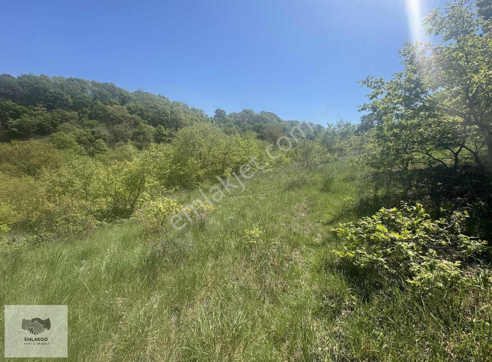 Bölgede Nadir Bulunan Ormanla Çevrili 8650m² Doğal Yaşam Arazisi - Görsel 13