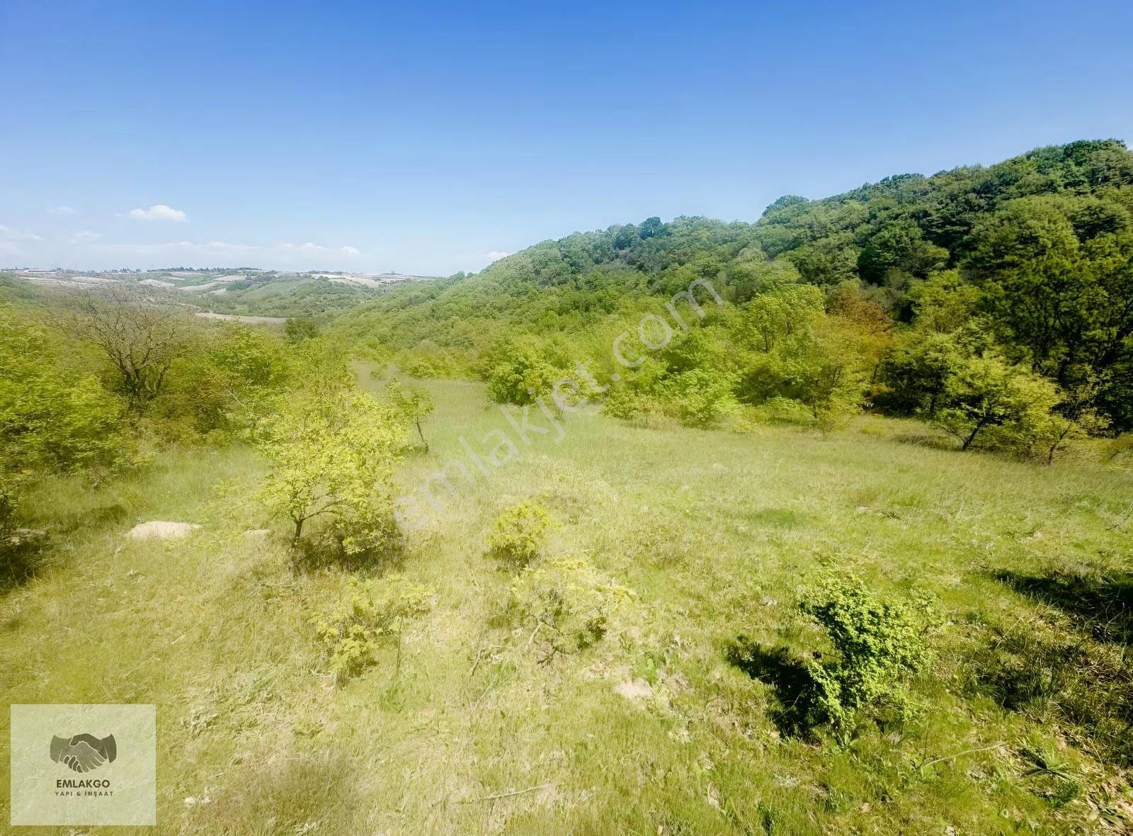 Bölgede Nadir Bulunan Ormanla Çevrili 8650m² Doğal Yaşam Arazisi