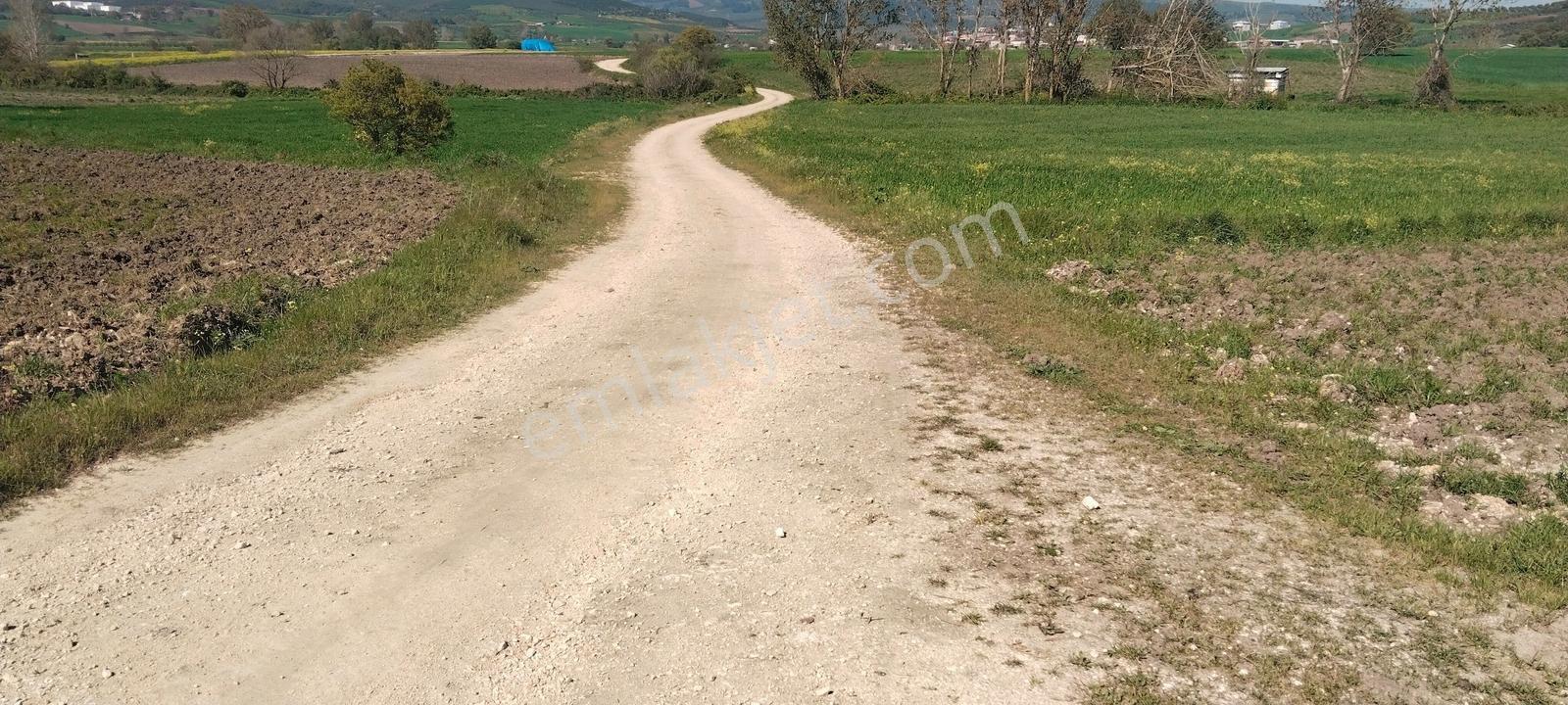 Nilüfer Çaylı'da Kadastro Yolu Olan Satılık Tarla - Görsel 14