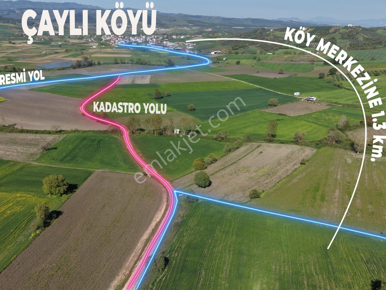 Nilüfer Çaylı'da Kadastro Yolu Olan Satılık Tarla - Görsel 3