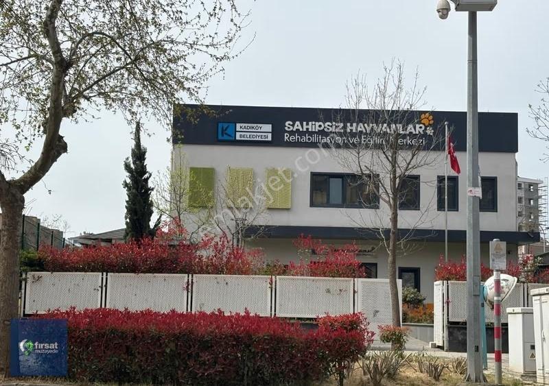 Alırken Kazanmanın Adresi ''fırsat Müzayede'' - Görsel 24