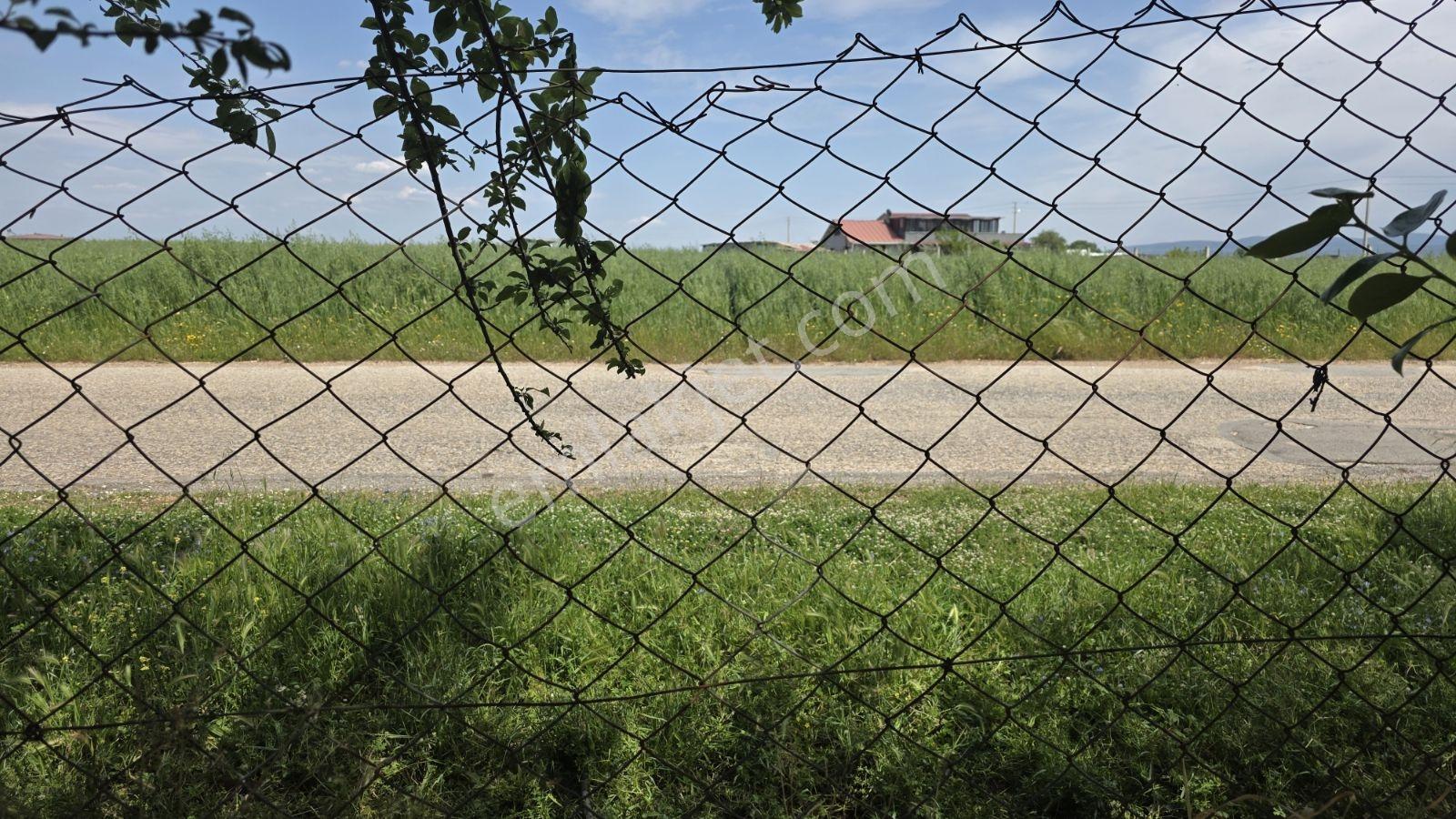 Menderes Develi,küner Mah. 300m2 Satılık Bahçeler - Görsel 7