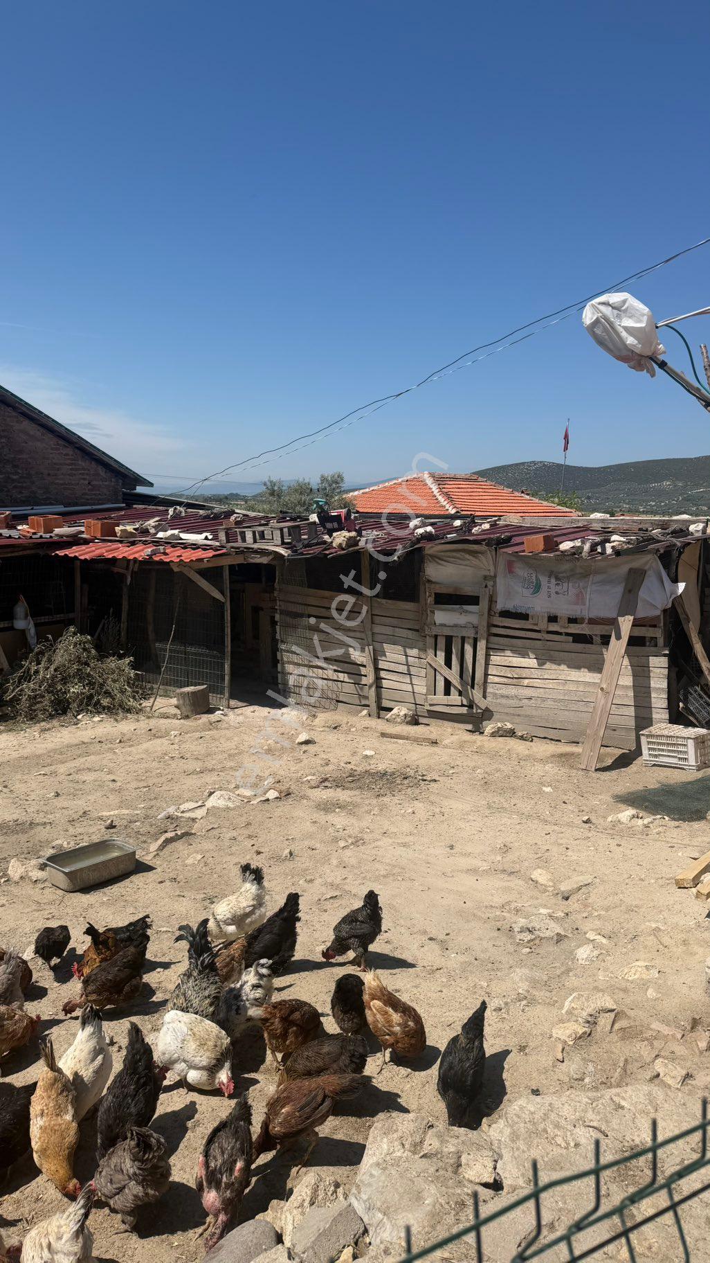 Gözlet Mh Fırsat 1089 M2 İmarlı3 Ayrı Müstakil Tapu Ve 2 Ev Kaçırılmayacak Fırsat - Görsel 13