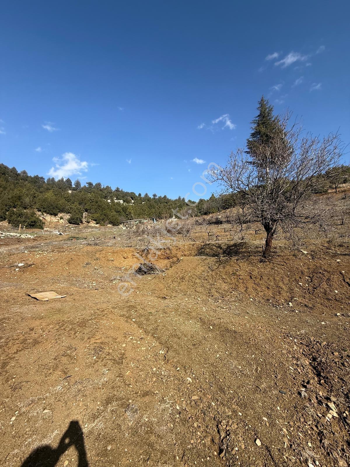 Bolkar Emlaktan Satılık Kavaklıpınarda İmarlı 6165 M² Arsa - Görsel 5