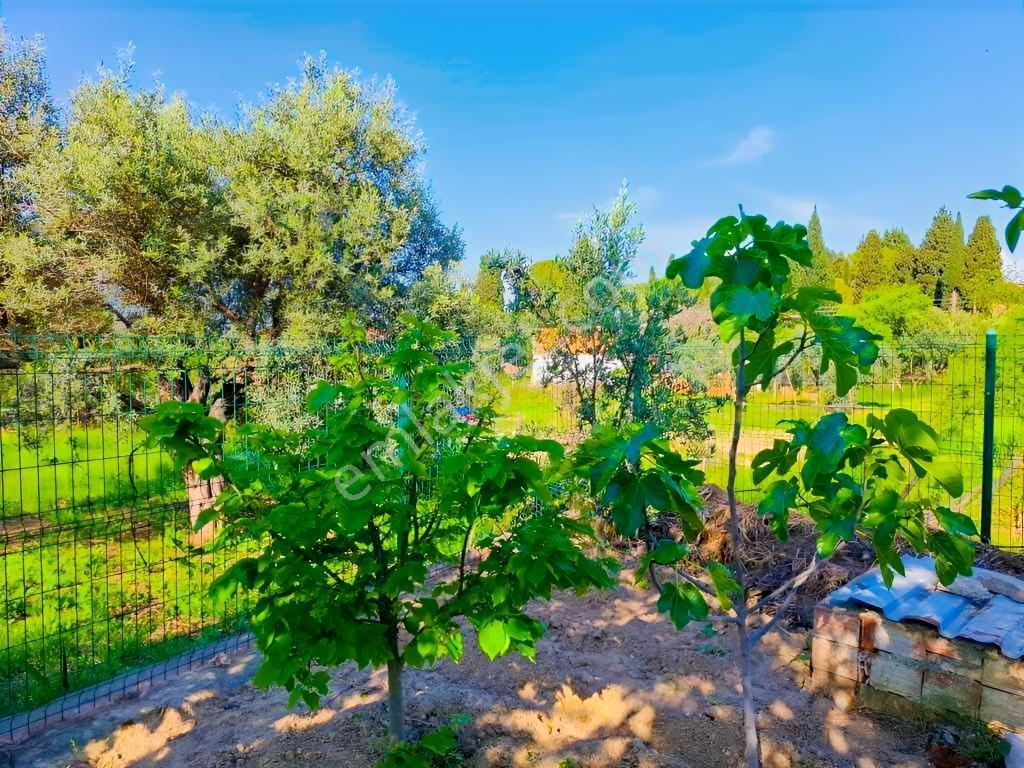 Akyeniköyde İçinde 2+1 Evi Olan Muhteşem Bahçeli Arsa - Görsel 29