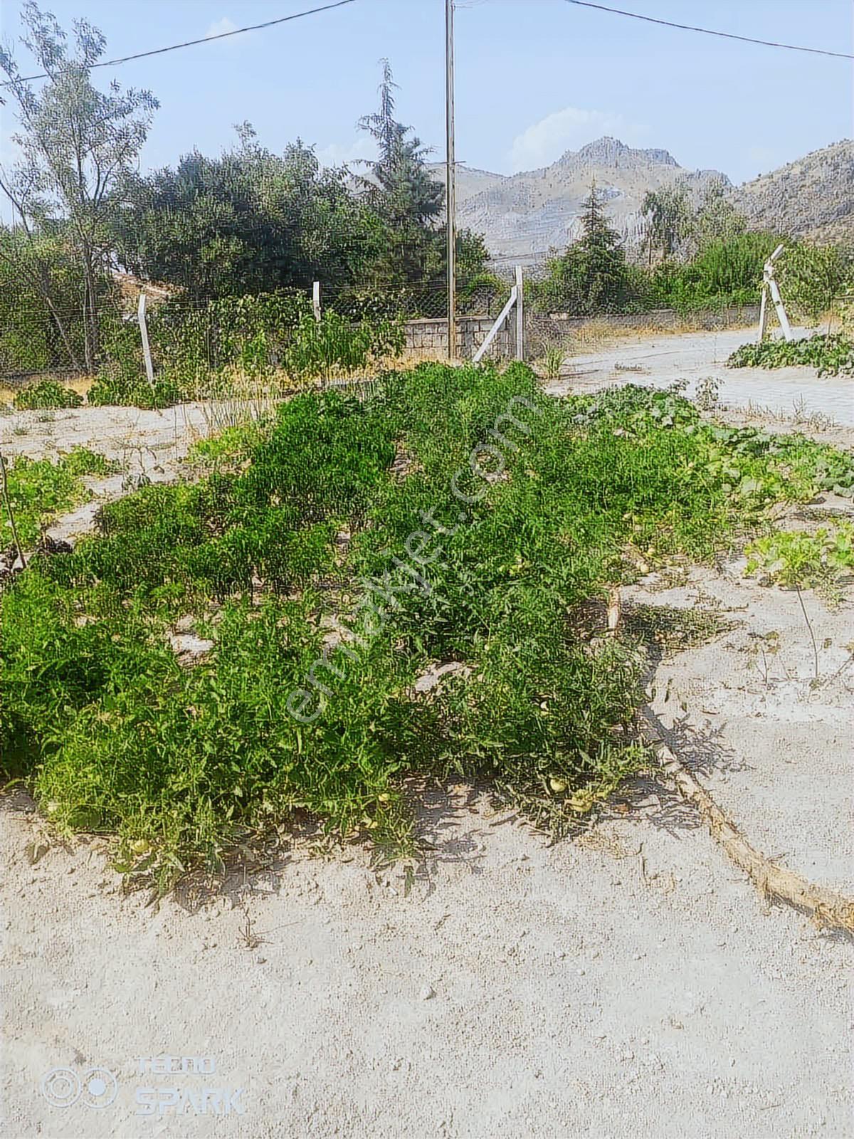 Eğribucakta Acil Satılık Müstakil Ev - Görsel 5
