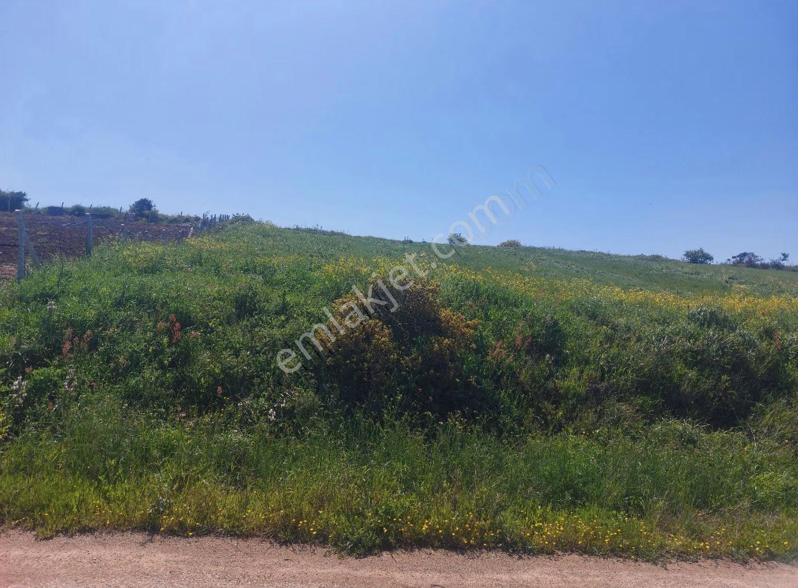 Bursa Karacabey Subaşı Köy Unde Asfalta Cephe Kupon Tarla - Görsel 8