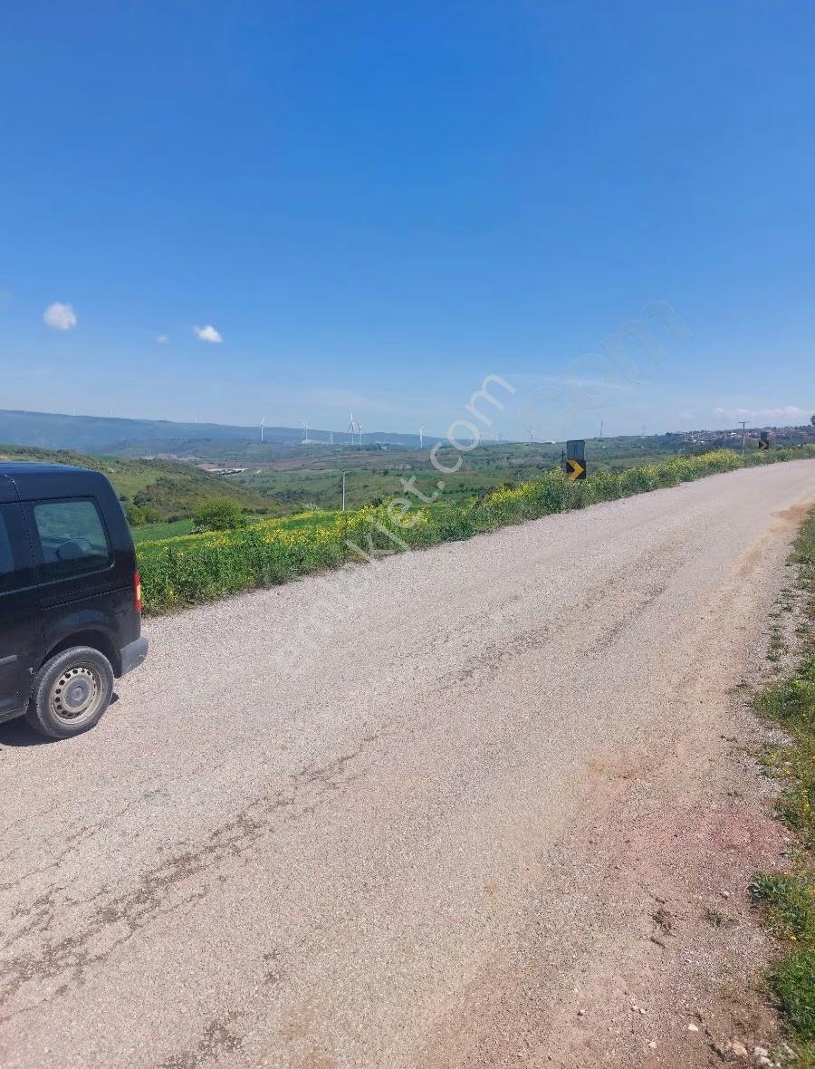 Bursa Karacabey Subaşı Köy Unde Asfalta Cephe Kupon Tarla - Görsel 15