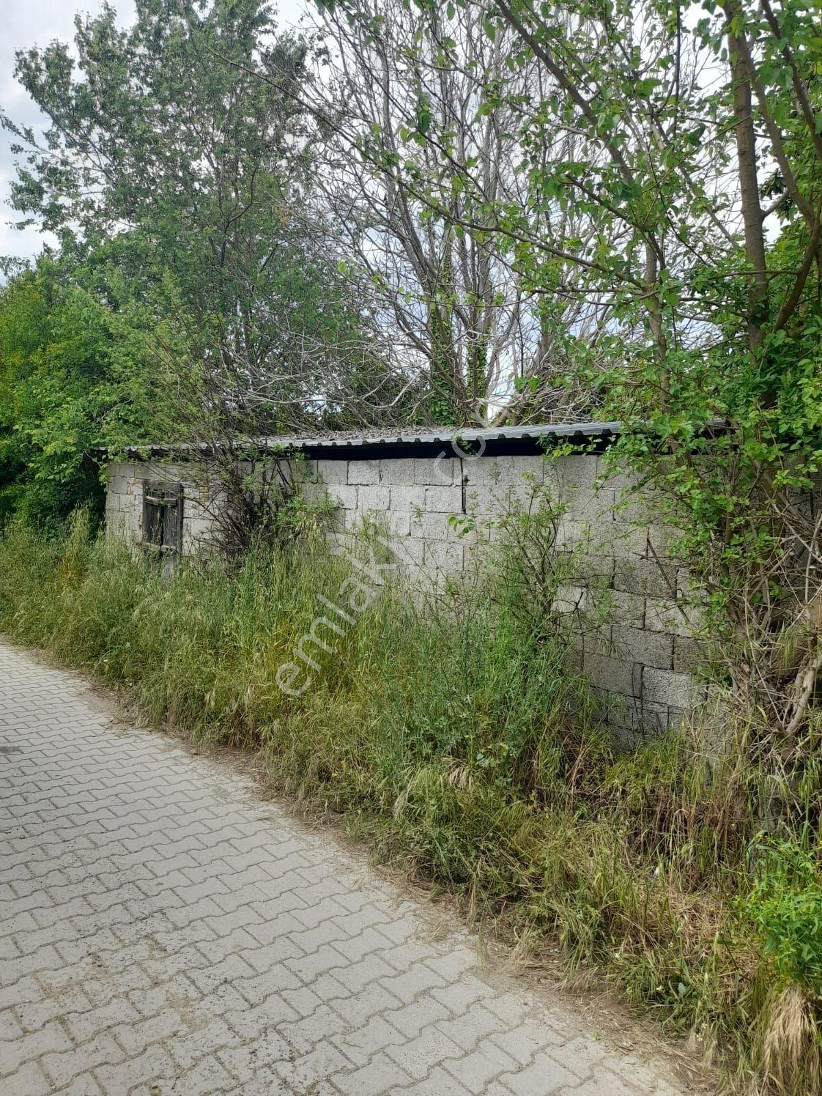 Köyceğiz Kavakarasında Satılık 2059 M2 Bahçe İçinde Köyevi - Görsel 5