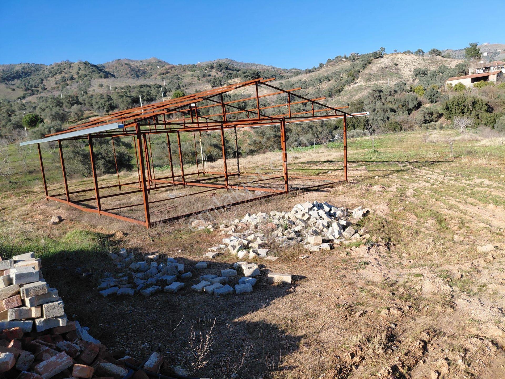 Muteşem Yatırım Fırsatı Ev Ruhsatı Alınmış 4800m² Zeytinlik