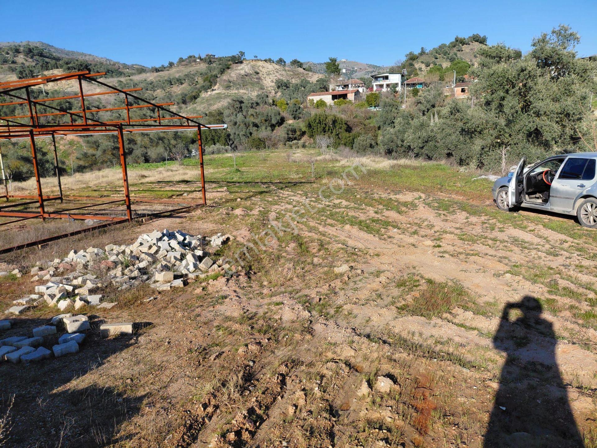 Muteşem Yatırım Fırsatı Ev Ruhsatı Alınmış 4800m² Zeytinlik - Görsel 2