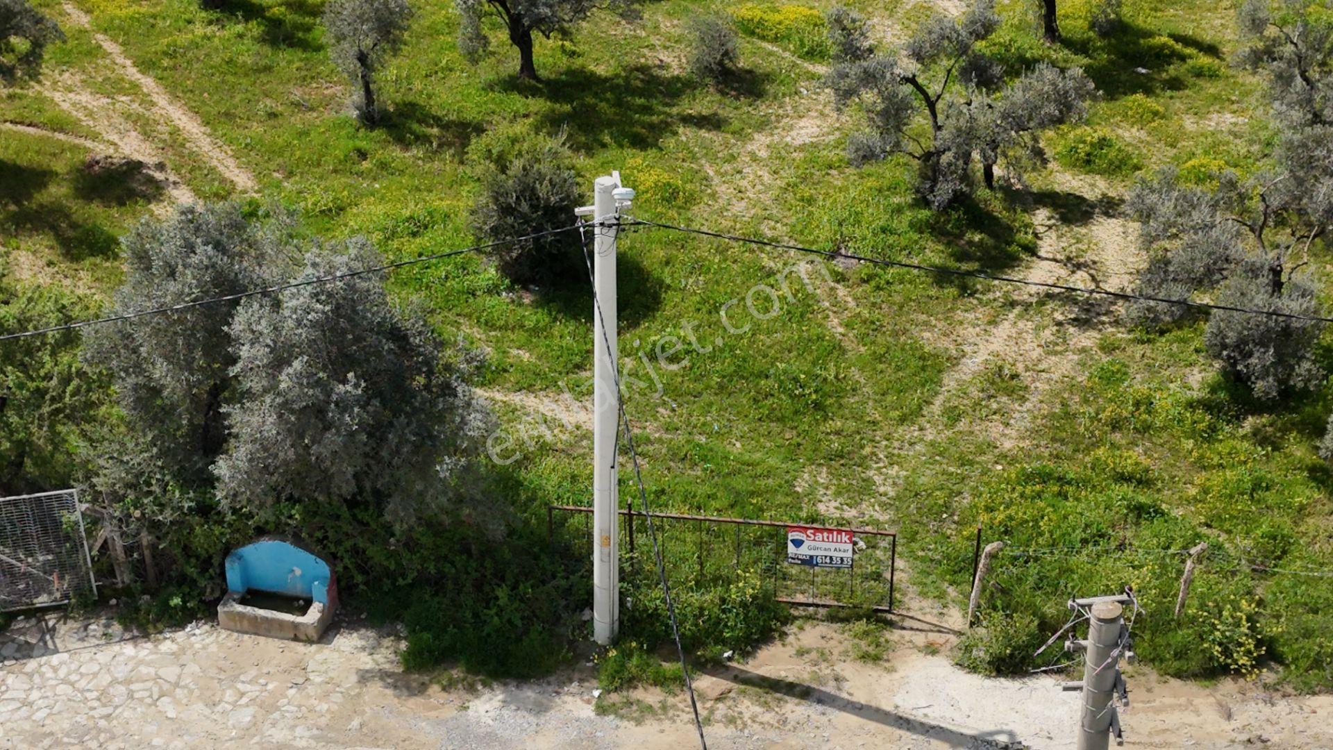 Şehır Merkezıne Yakın 4112 M² Satılık Tarla - Görsel 3